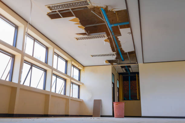Best Ceiling water damage repair  in Ogden, KS