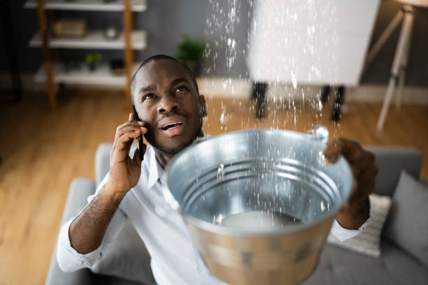 Best Water damage cleanup near me  in Ogden, KS