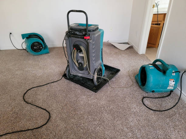Best Water damage restoration company  in Ogden, KS