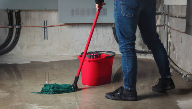 Best Carpet water damage restoration  in Ogden, KS