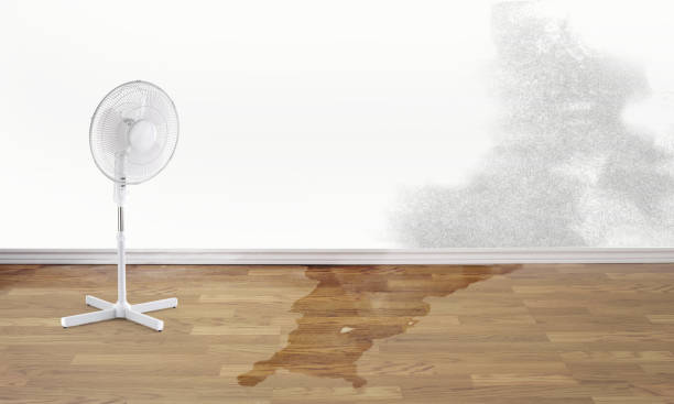 Best Fire Damage Restoration  in Ogden, KS