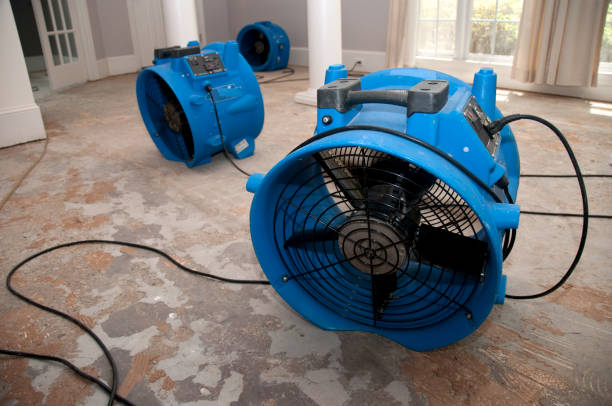 Best Flooded house restoration  in Ogden, KS