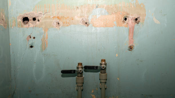 Best Water damage contractors near me  in Ogden, KS