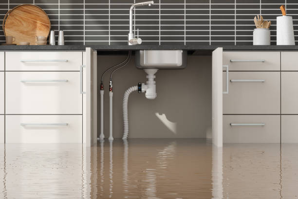 Best Water damage restoration near me  in Ogden, KS