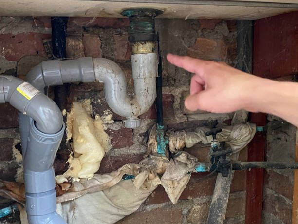 Best Basement water damage restoration  in Ogden, KS
