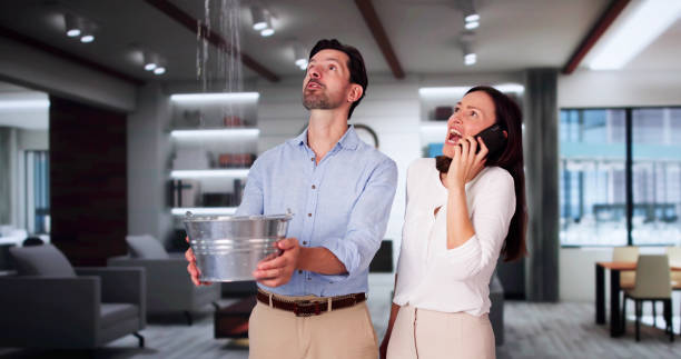 Best Water damage mitigation services  in Ogden, KS