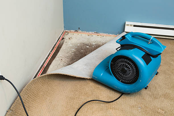 Best Flood damage cleanup  in Ogden, KS